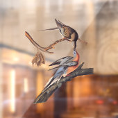 オードボンキスをする鳩 ウィンドウサイン (シート2)