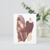 オードボンクラシックハゲのワシと新鮮な魚 ポストカード (スタンド正面)