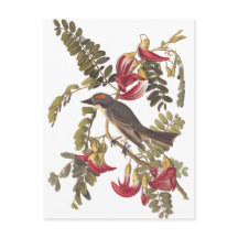 オードボングレーキングバードオンハミングバードツリー