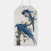 オードボンコロンビアジェイ黒スロートマグパイジェイ ギフトタグ (裏面)