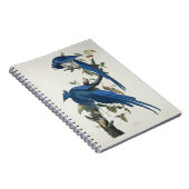 オードボンコロンビアジェイ黒スロートマグパイジェイ ノートブック (右側)