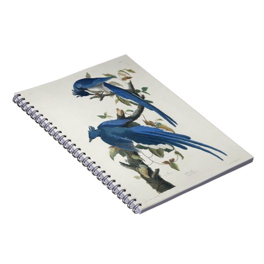 オードボンコロンビアジェイ黒スロートマグパイジェイ ノートブック (右側)