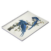 オードボンコロンビアジェイ黒スロートマグパイジェイ ノートブック (左側)