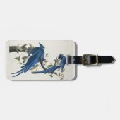 オードボンコロンビアジェイ黒スロートマグパイジェイ ラゲッジタグ (正面横)