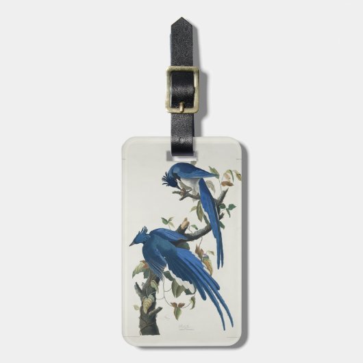 オードボンコロンビアジェイ黒スロートマグパイジェイ ラゲッジタグ (正面縦)