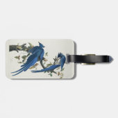 オードボンコロンビアジェイ黒スロートマグパイジェイ ラゲッジタグ (裏面横)