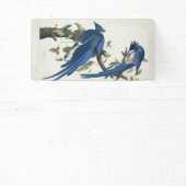 オードボンコロンビアジェイ黒スロートマグパイジェイ 横断幕 (インサイチュ)