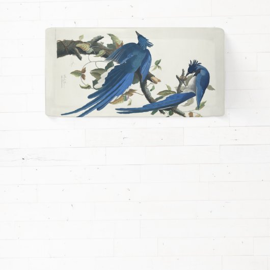 オードボンコロンビアジェイ黒スロートマグパイジェイ 横断幕 (インサイチュ)