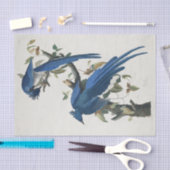 オードボンコロンビアジェイ黒スロートマグパイジェイ 薄葉紙 (クラフト)