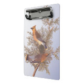 オードボンシダーワクウィングバードオンエバーグリーンジュニパー ミニクリップボード (アングル2)