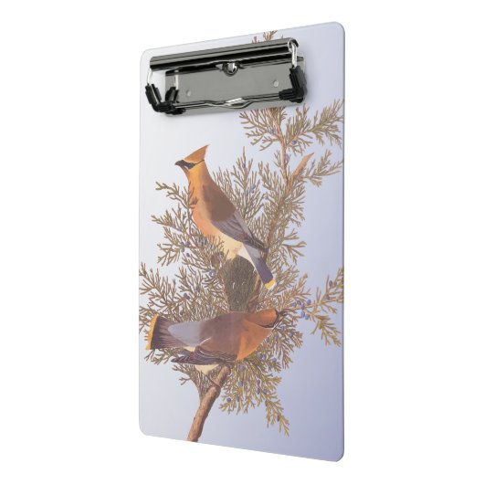 オードボンシダーワクウィングバードオンエバーグリーンジュニパー ミニクリップボード (アングル2)