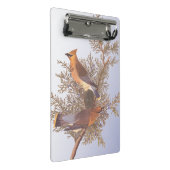 オードボンシダーワクウィングバードオンエバーグリーンジュニパー ミニクリップボード (アングル)