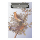 オードボンシダーワクウィングバードオンエバーグリーンジュニパー ミニクリップボード (正面)