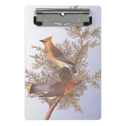 オードボンシダーワクウィングバードオンエバーグリーンジュニパー ミニクリップボード (正面)