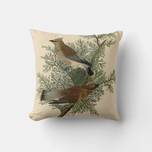 オードボンシダーワクウィングバード クッション (正面)