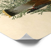 オードボンシダーワクウィングバード ポスター (角)