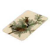 オードボンシダーワクウィングバード マグネット (左側)