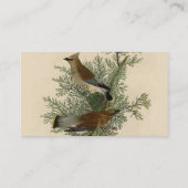 オードボンシダーワクウィングバード 名刺 (裏面)