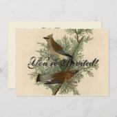 オードボンシダーワクウィングバード 招待状 (正面/裏面)