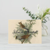 オードボンシダーワクウィングバード 招待状 (スタンド正面)