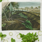 オードボンスノーイヘロンホワイトエグレットバード野鳥観察 キッチンタオル (折り畳み)