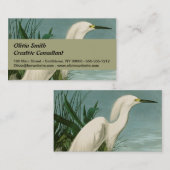 オードボンスノーイヘロンホワイトエグレットバード野鳥観察 名刺 (正面/裏面)