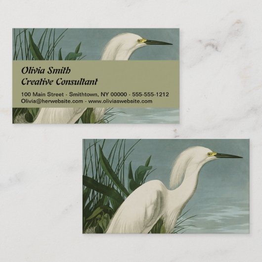 オードボンスノーイヘロンホワイトエグレットバード野鳥観察 名刺 (正面/裏面)