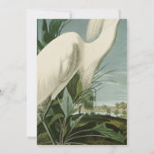 オードボンスノーイヘロンホワイトエグレットバード野鳥観察 招待状 (裏面)