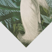 オードボンスノーイヘロンホワイトエグレットバード野鳥観察 薄葉紙 (詳細)