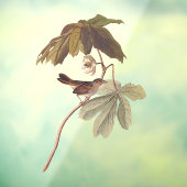 オードボンスワンプスパローバードオンワイルドマンドレーク ウィンドウサイン (シート3)