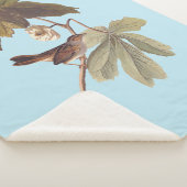 オードボンスワンプスパローバードオンワイルドマンドレーク シェルパブランケット (3/4)