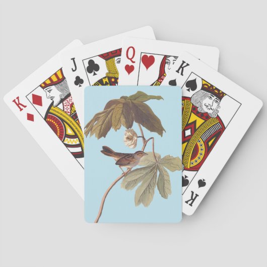 オードボンスワンプスパローバードオンワイルドマンドレーク トランプ (裏面)