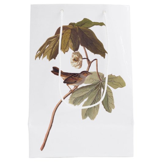 オードボンスワンプスパローバードオンワイルドマンドレーク ミディアムペーパーバッグ (裏面)