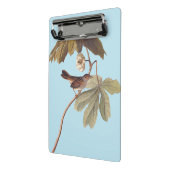 オードボンスワンプスパローバードオンワイルドマンドレーク ミニクリップボード (アングル2)