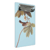 オードボンスワンプスパローバードオンワイルドマンドレーク ミニクリップボード (アングル)