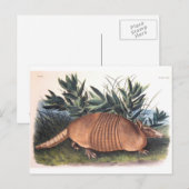 オードボンズアルマジロ ポストカード (正面/裏面)