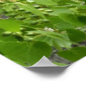 オードボンズウォーブラー自然写真 ポスター (角)