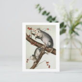 オードボンズオポッサム ポストカード (スタンド正面)