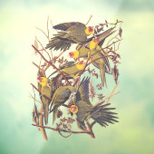 オードボンズカロライナ ウィンドウサイン (シート3)