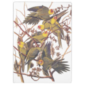 オードボンズカロライナ クリップボード (裏面)