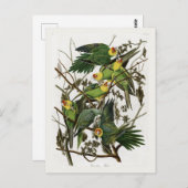 オードボンズカロライナ ポストカード (正面/裏面)