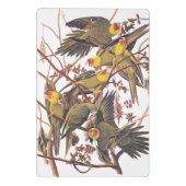 オードボンズカロライナ ミニクリップボード (裏面)