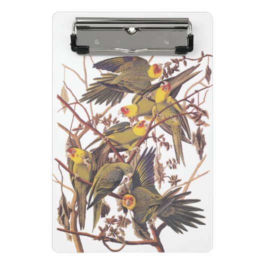 オードボンズカロライナ ミニクリップボード (正面)