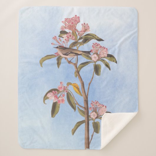 オードボンズキュービエのキングレット謎の鳥 シェルパブランケット (正面)