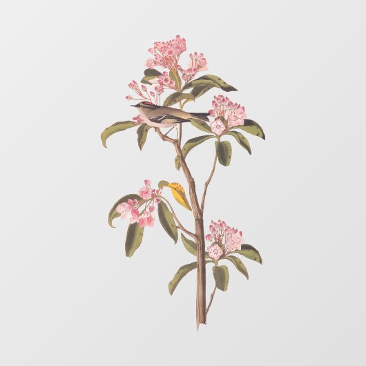 オードボンズキュービエのキングレット鳥オンピンクカリコ ウィンドウサイン (シート)