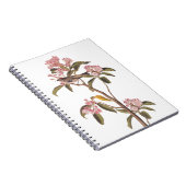 オードボンズキュービエのキングレット鳥オンピンクカリコ ノートブック (右側)