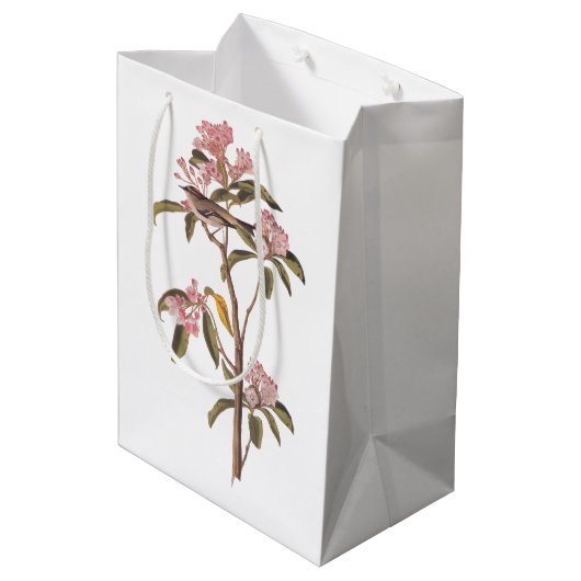 オードボンズキュービエのキングレット鳥オンピンクカリコ ミディアムペーパーバッグ (裏面アングル)