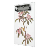 オードボンズキュービエのキングレット鳥オンピンクカリコ ミニクリップボード (アングル2)