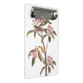 オードボンズキュービエのキングレット鳥オンピンクカリコ ミニクリップボード (アングル)