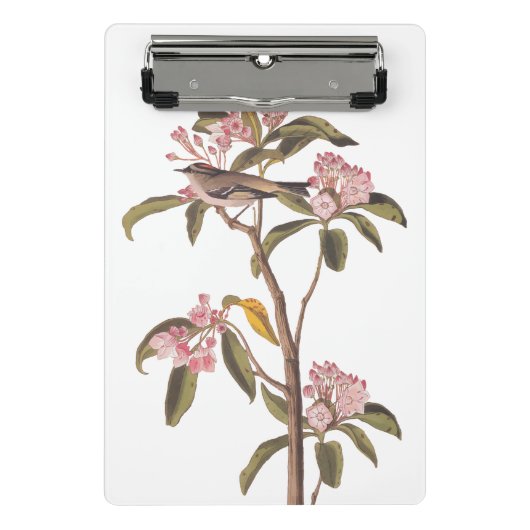 オードボンズキュービエのキングレット鳥オンピンクカリコ ミニクリップボード (正面)